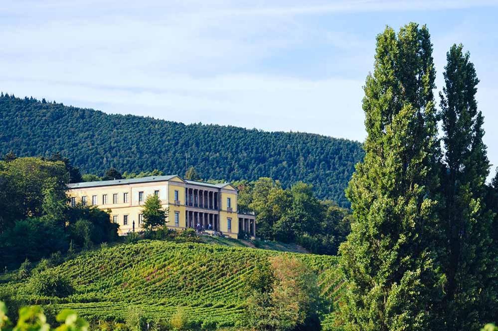 Pfalz-Dorfhaus Burrweiler Exteriér fotografie